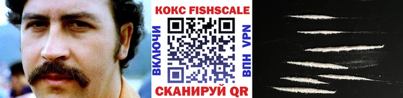Кокаин FishScale  цены наркотик  Чистополь 